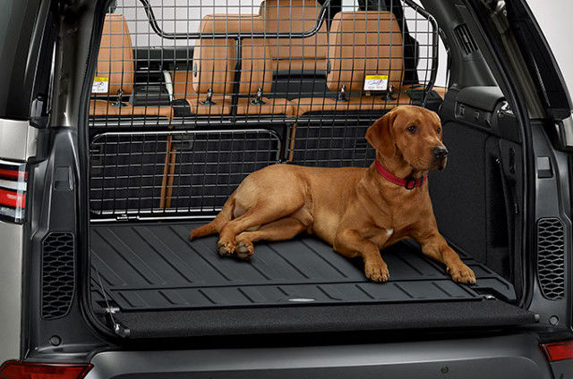 مجموعة مخصصة للحيوانات الأليفة