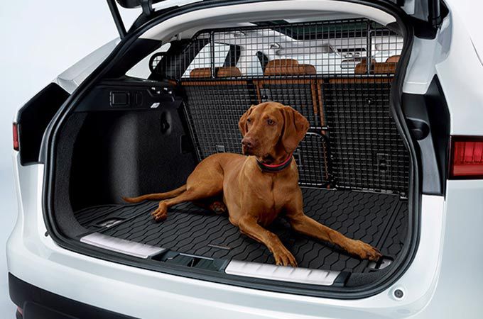 jaguar i pace dog guard