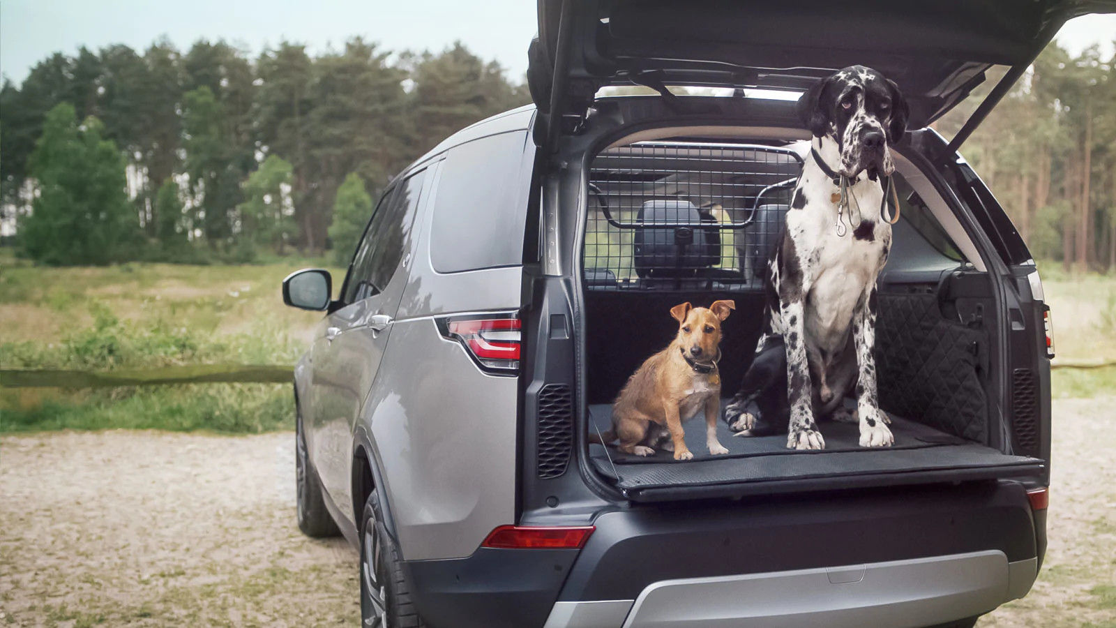 land rover dog bowl