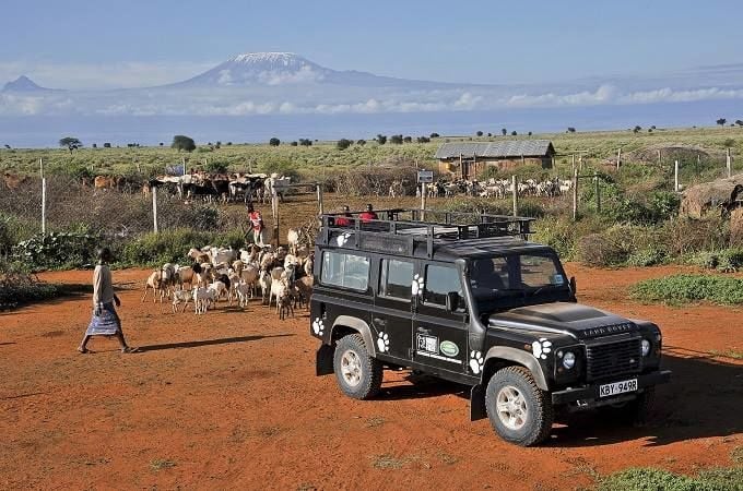 Land Rover'ın Born Free