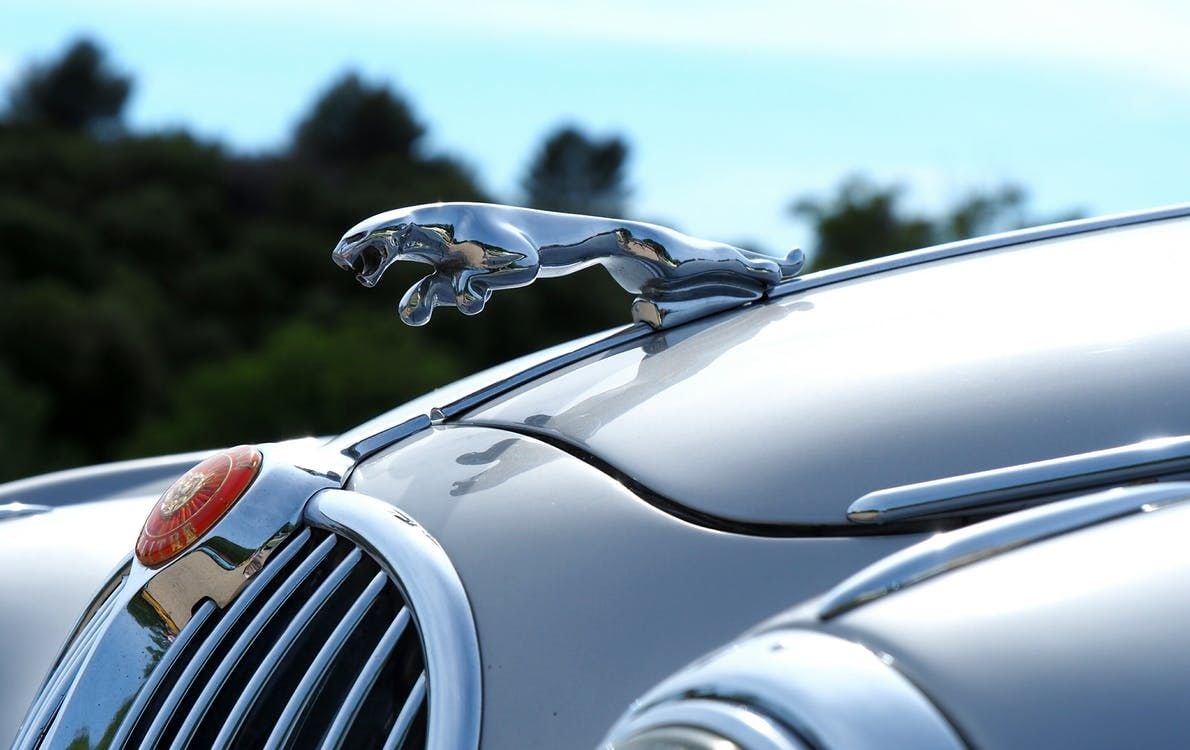 Jaguar’ın geçmişten bugüne gelen çizgisi ve duruşu hakkında düşünceleriniz neler?