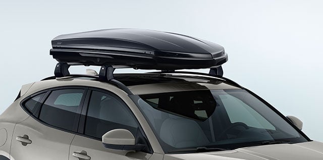 運動車頂箱
