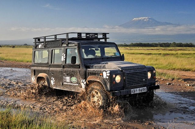 LA FUNDACIÓN BORN FREE